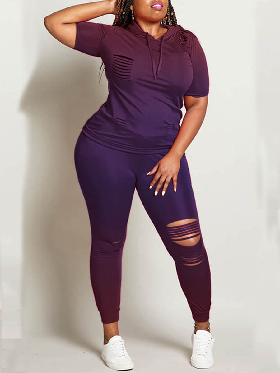 Lovely Casual Hooded Collar Broken Holes Purple Plus Size Two-piece Pants Set
Lovely Casual Hooded Collar Broken Holes Purple Plus Size Two-piece Pants Set
