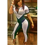 Casual Short Sleeves Hollow-out Collar Mesh Patchw