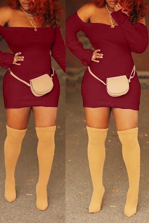 

Lovely Casual Long Sleeves Wine Red Blending Mini Dress