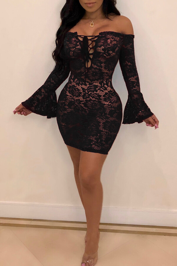 Lovely Sexy See-through Black Lace Mini Dress_Dresses_LovelyWholesale ...