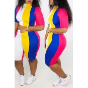 Lovely Trendy Striped Multicolor Two-piece Shorts 