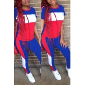 Lovely Casual Patchwork Royal Blue Blending Two-pi