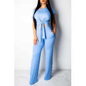 Lovely Casual Short Sleeve Blue Two-piece Pants Se
