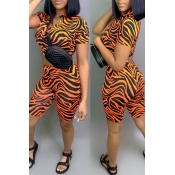 Lovely Leisure Printed Orange Two-piece Shorts Set
