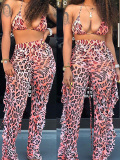 LW Leopard Printed Two-piece Swimwear