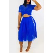 Lovely Sexy See-through Blue Two-piece Skirt Set