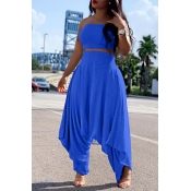 Lovely Casual Loose Blue Two-piece Pants Set
