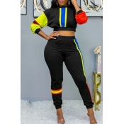 Lovely Casual Patchwork Black Two-piece Pants Set