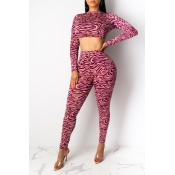 Lovely Chic Printed Purple Two-piece Pants Set