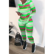 Lovely Casual Striped Green Two-piece Pants Set
