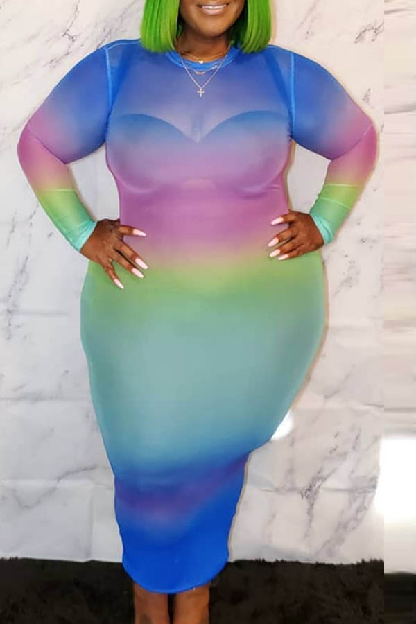 

Lovely Casual Printed Multicolor Plus Size Mid Calf Dress, Multi