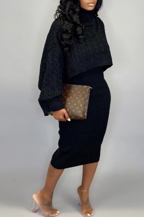 

Lovely Casual Turtleneck Black Two-piece Skirt Set