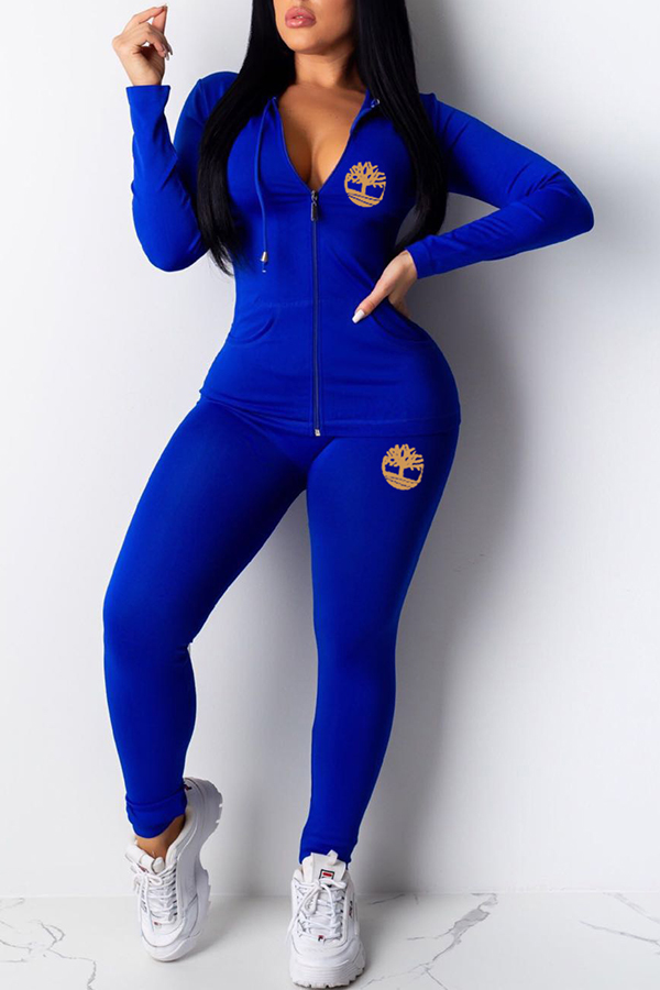 

Lovely Casual Hooded Collar Blue Two-piece Pants Set