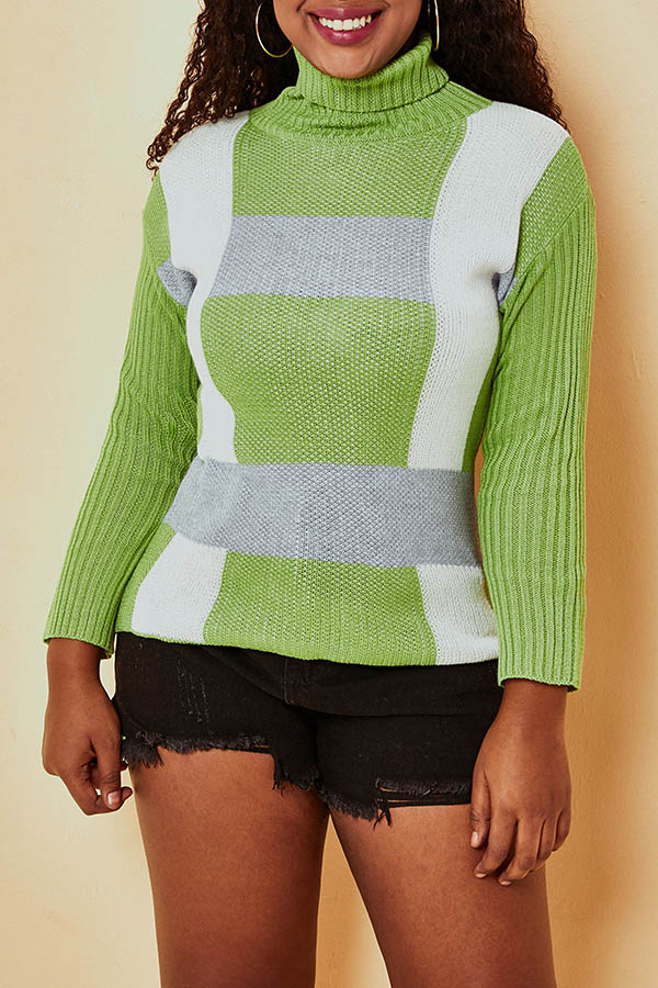 

Lovely Casual Turtleneck Green Sweater