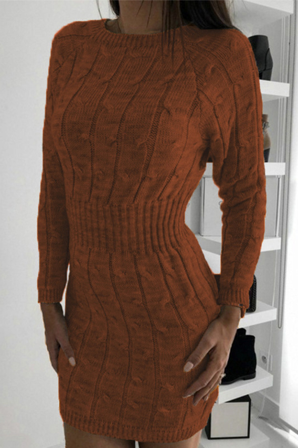 

Lovely Casual O Neck Skinny Brown Mini Dress