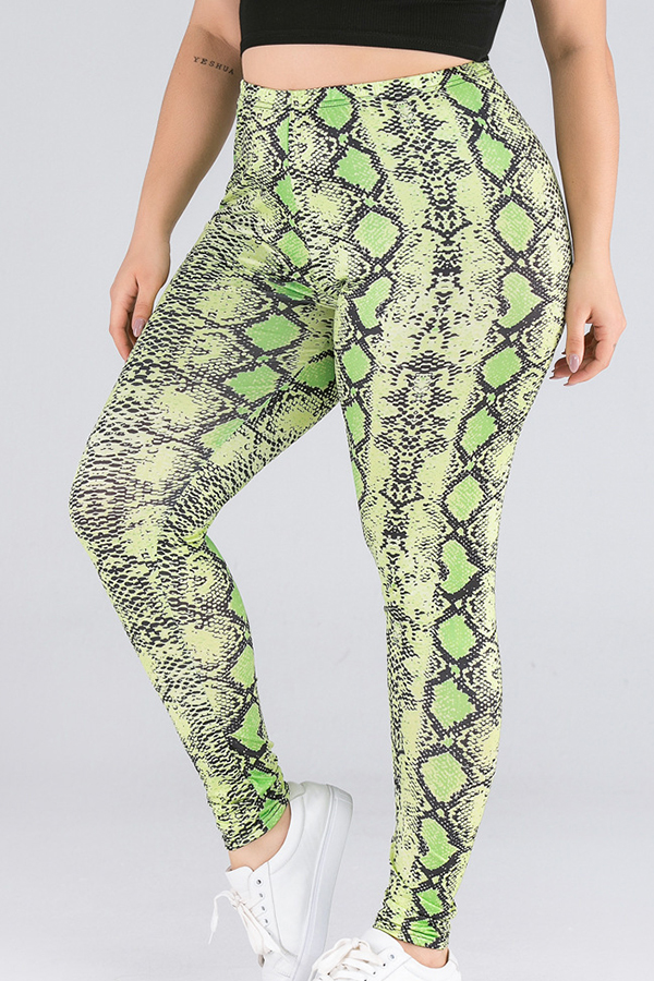 

Lovely Casual Print Green Plus Size Pants