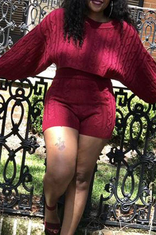 

Lovely Casual Crop Top Purplish Red Two-piece Shorts Set