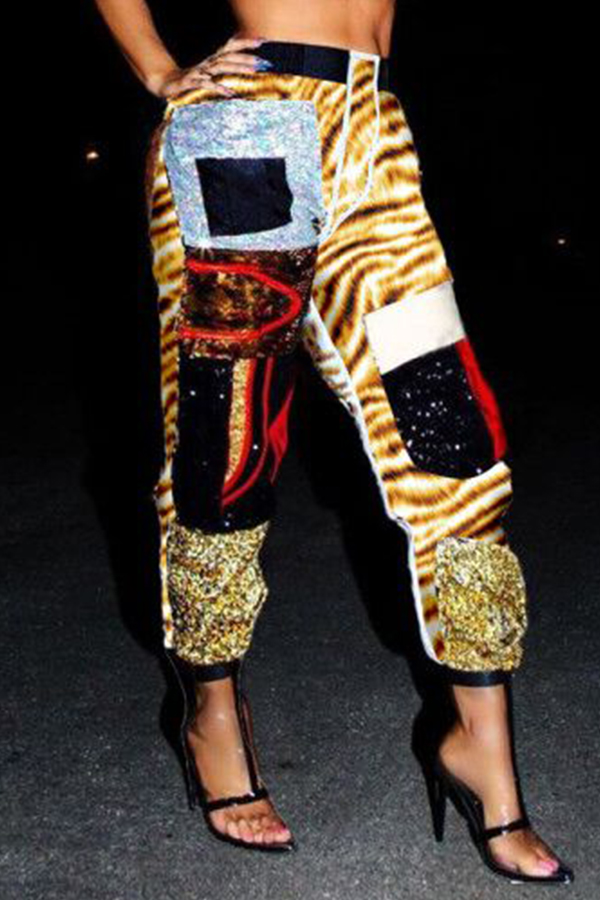 

Lovely Casual Patchwork Tiger Stripes Pants