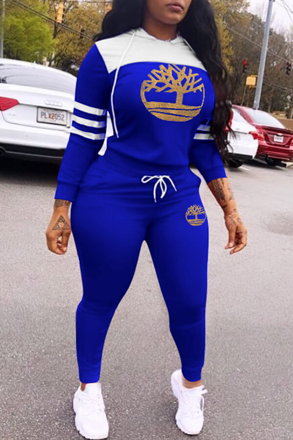 

Lovely Casual Hooded Collar Print Blue Two-piece Pants Set