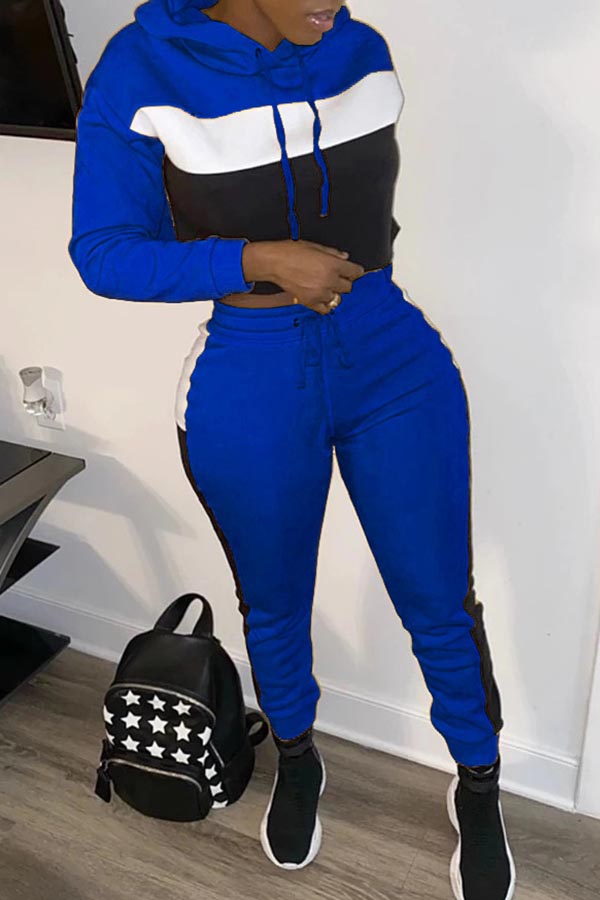 

Lovely Leisure Patchwork Blue Two-piece Pants Set