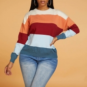 Lovely Casual Striped Multicolor Sweater