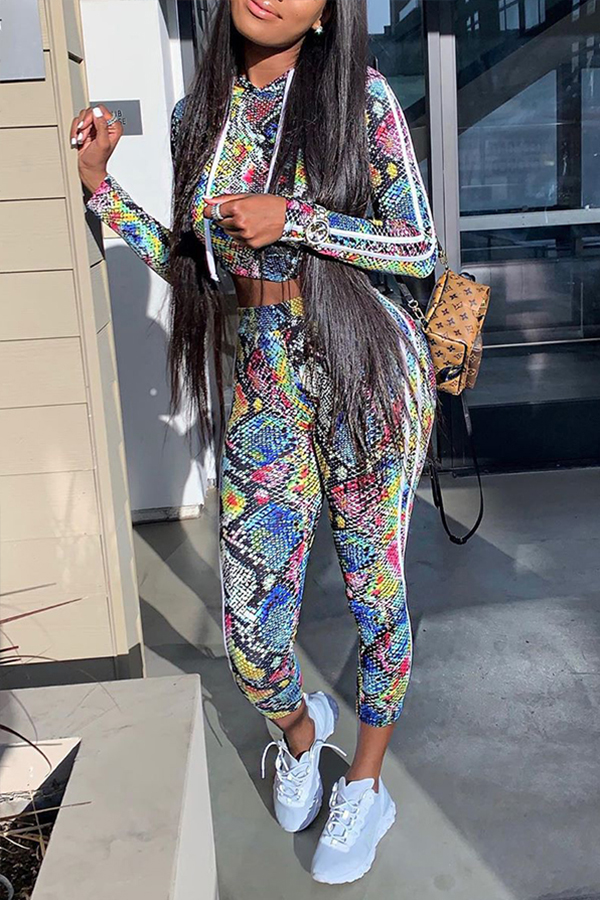 

Lovely Chic Print Skinny Multicolor Two-piece Pants Set, Multi