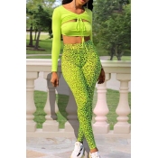 Lovely Chic V Neck Print Green Two-piece Pants Set