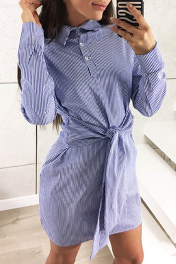 

Lovely Casual Striped Blue Mini Dress