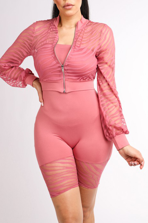 

Lovely Casual See-through Pink Two-piece Shorts Set