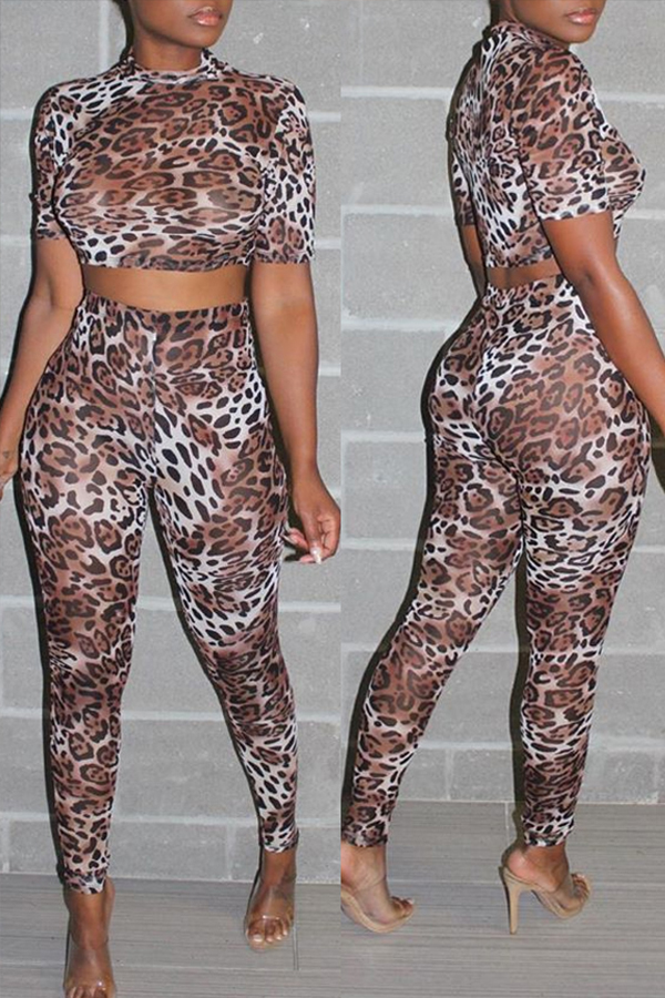 

Lovely Trendy Leopard Print Brown Two-piece Pants Set