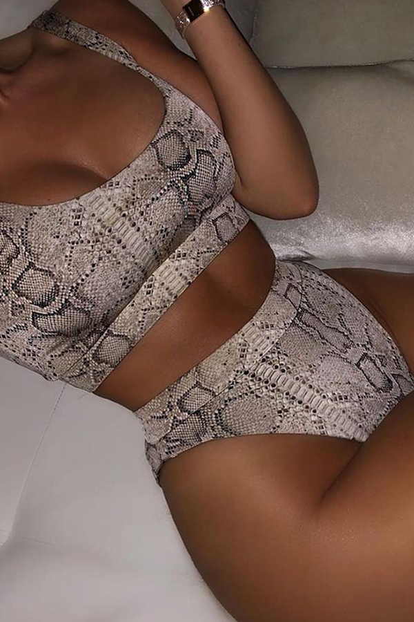 

Lovely Snakeskin Print Two-piece Swimsuit, Cobra