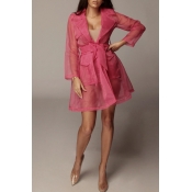 Lovely Trendy See-through Pink Knee Length Dress