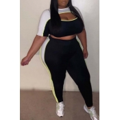 Lovely Leisure Hollow-out Black Plus Size Two-piec