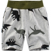 Lovely Trendy Print Grey Boy Shorts