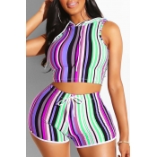 Lovely Stylish Striped Purple Plus Size Two-piece 