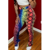 LW Casual High Waist Cobra Print Pants