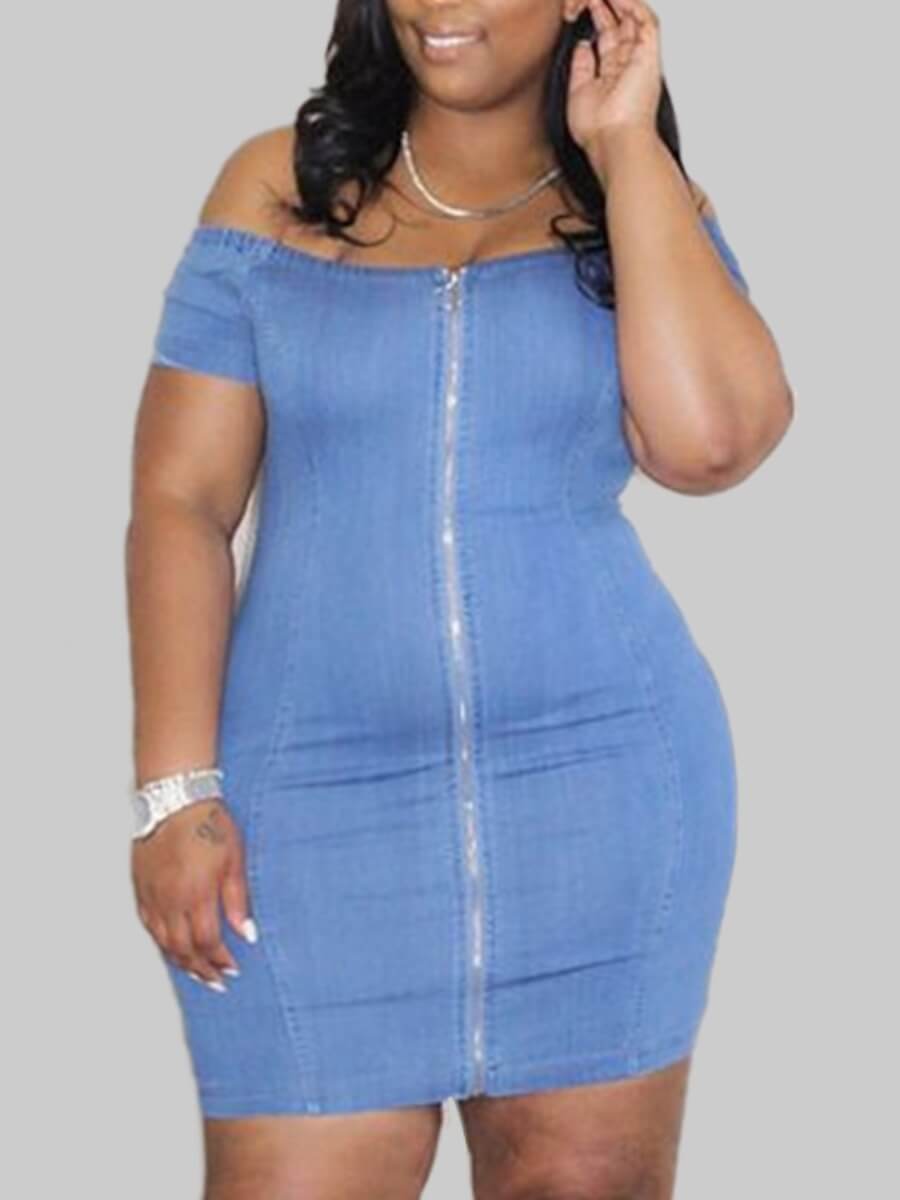 Lovely Stylish Zipper Design Baby Blue Plus Size Denim Dress
