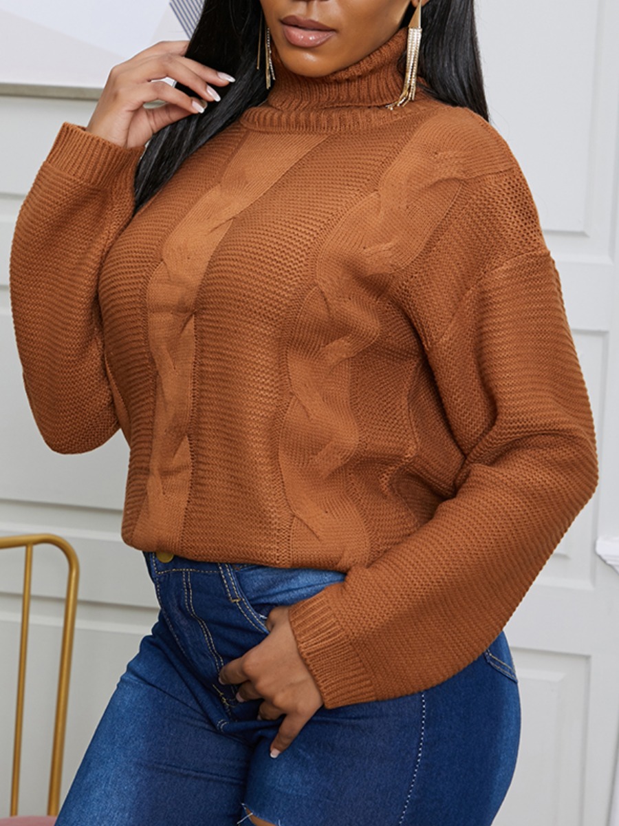 

Lovely Trendy Turtleneck Basic Brown Sweater