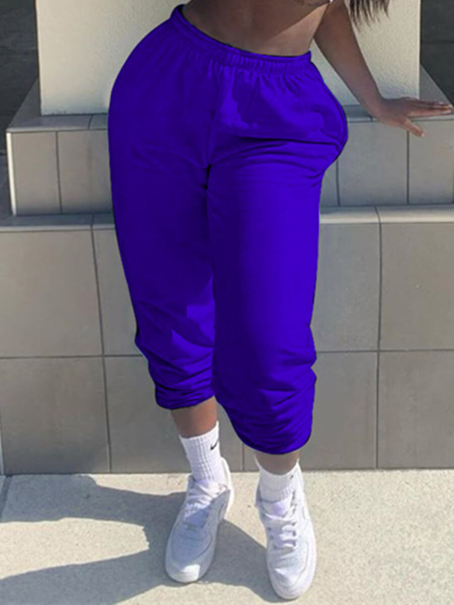 Lovely Casual Basic Blue Pants