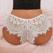 Lovely Sexy Lace See-through White Panties