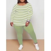 Lovely Casual Boat Neck Long Sleeve Striped Green 