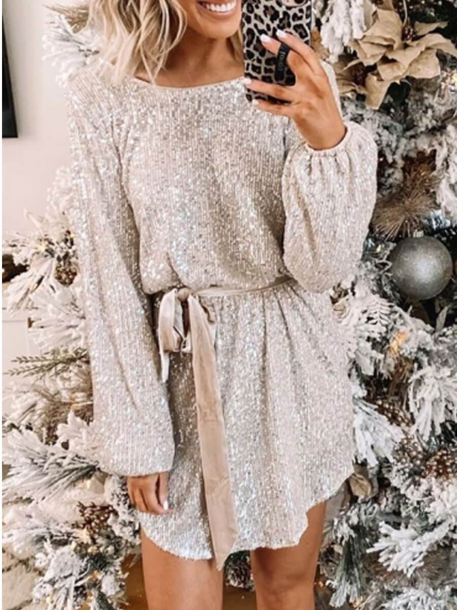 

Lovely Christmas Day Sequin Silver Dress