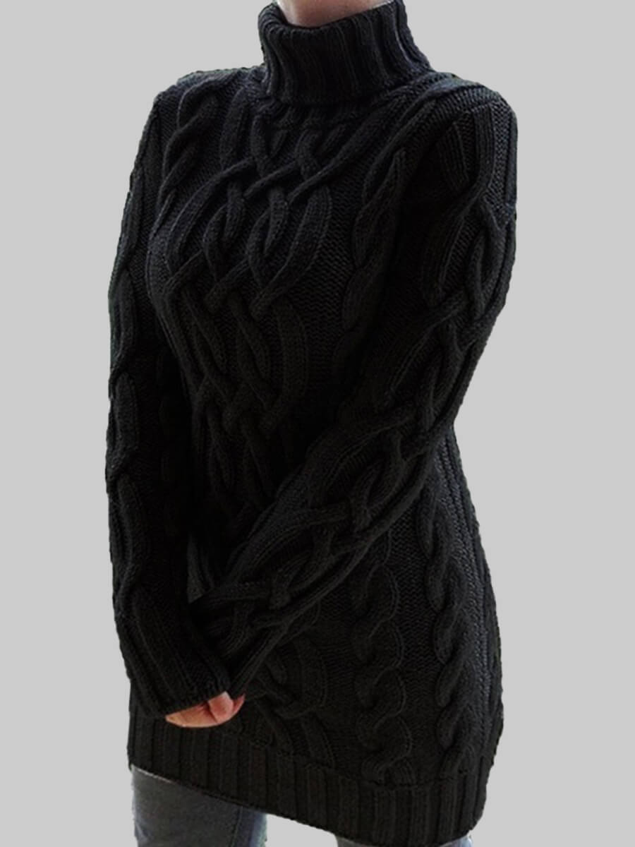 

Lovely Casual Turtleneck Long Sleeve Black Mini Plus Size Dress