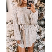 Lovely Christmas Day Sequin Silver Dress