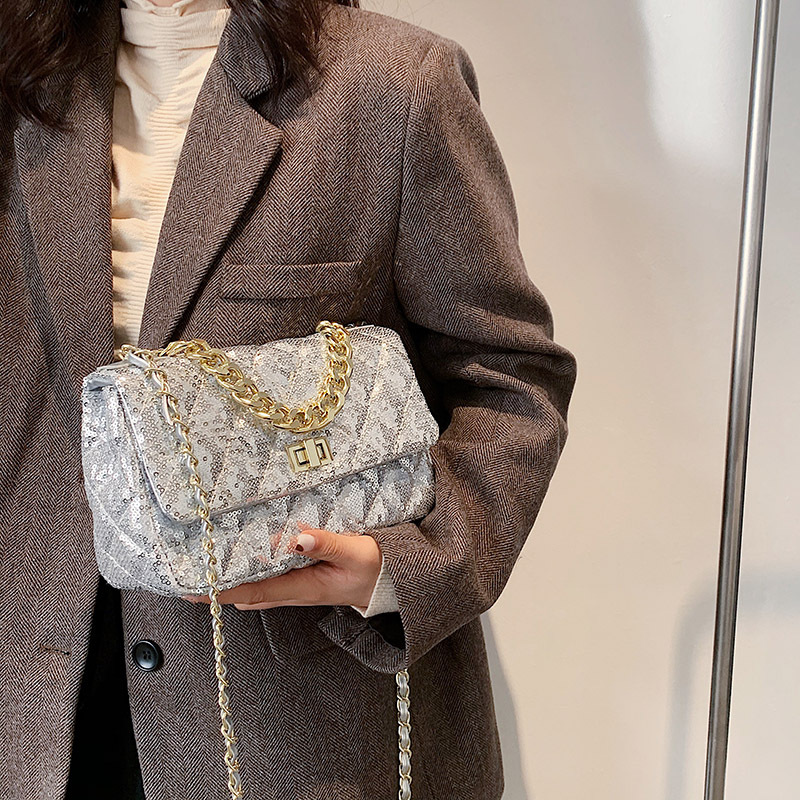 

Lovely Street Chain Strap Silver Crossbody Bag