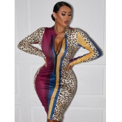 LW Leopard Print Striped Dress