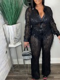 LW SXY Plus Size Tassel Design Sequined See Through Pants Set