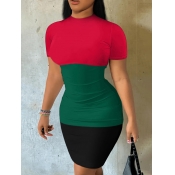 LW Round Neck Patchwork Bodycon Dress
