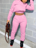 LW BASICS Casual Polyester Hooded Collar Solid Color Long Sleeve Two-piece Pants Set