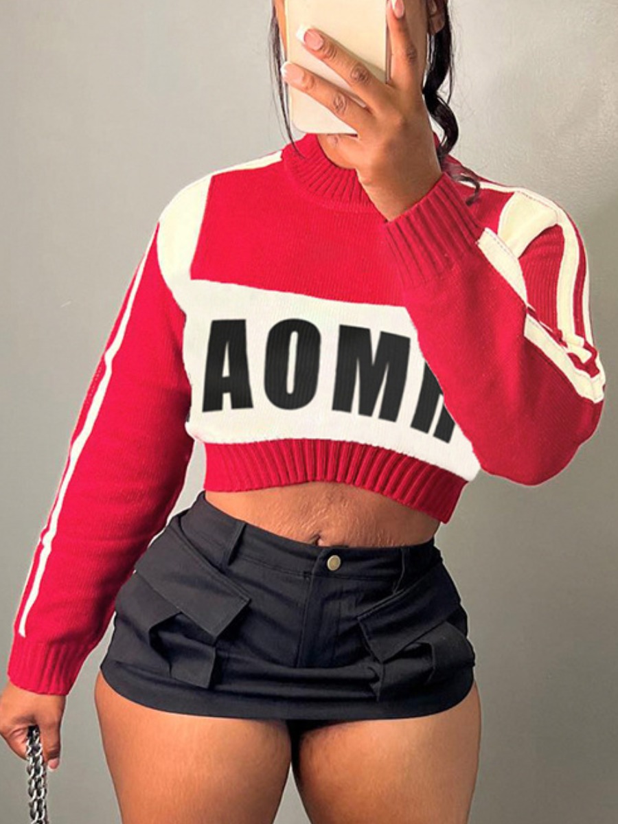 LW Pattern Color Contrast Sweater